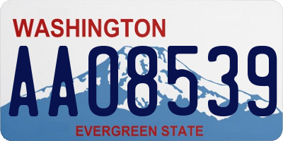 WA license plate AAO8539