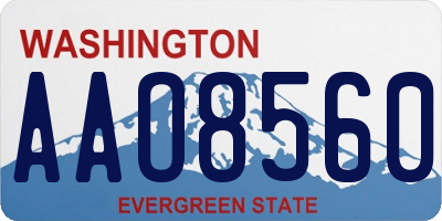 WA license plate AAO8560