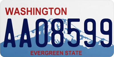 WA license plate AAO8599
