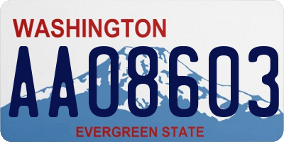 WA license plate AAO8603