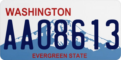 WA license plate AAO8613