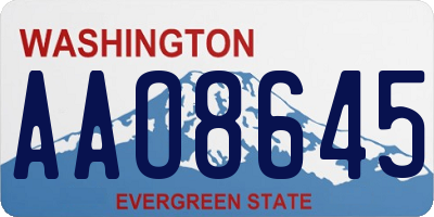 WA license plate AAO8645