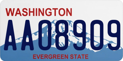 WA license plate AAO8909