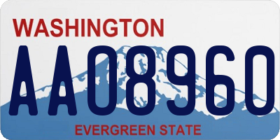 WA license plate AAO8960