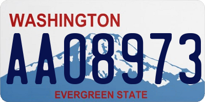WA license plate AAO8973