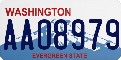 WA license plate AAO8979