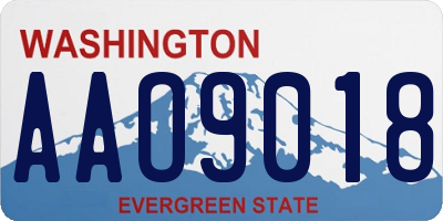 WA license plate AAO9018