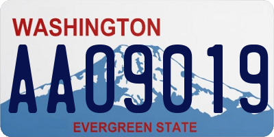 WA license plate AAO9019