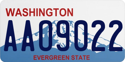 WA license plate AAO9022