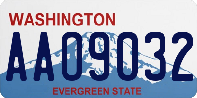 WA license plate AAO9032