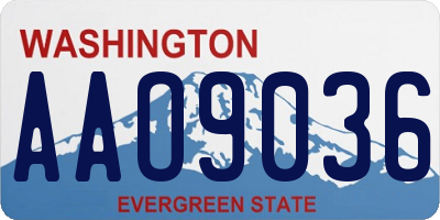 WA license plate AAO9036