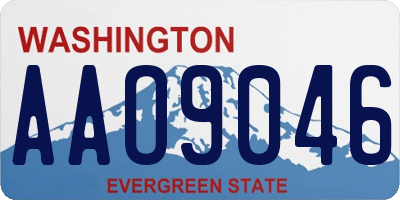 WA license plate AAO9046