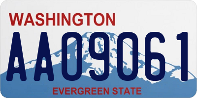 WA license plate AAO9061