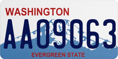 WA license plate AAO9063