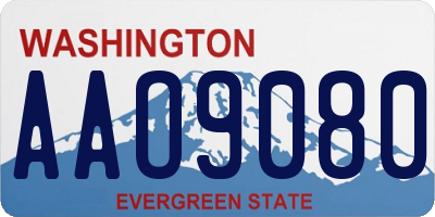 WA license plate AAO9080