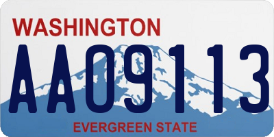 WA license plate AAO9113