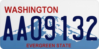 WA license plate AAO9132