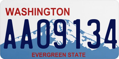 WA license plate AAO9134