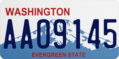 WA license plate AAO9145