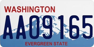 WA license plate AAO9165