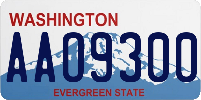 WA license plate AAO9300