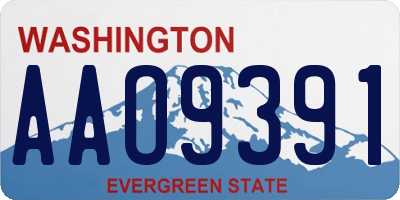 WA license plate AAO9391