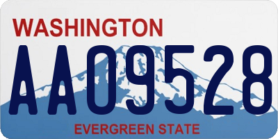 WA license plate AAO9528