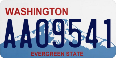 WA license plate AAO9541