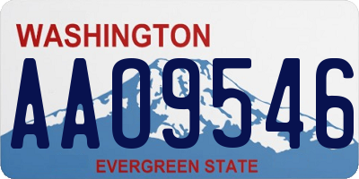 WA license plate AAO9546