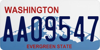 WA license plate AAO9547
