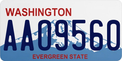 WA license plate AAO9560