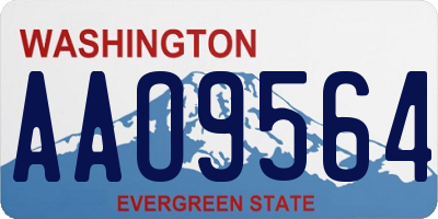 WA license plate AAO9564