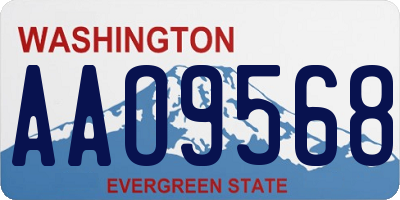 WA license plate AAO9568
