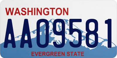 WA license plate AAO9581