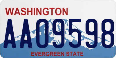 WA license plate AAO9598