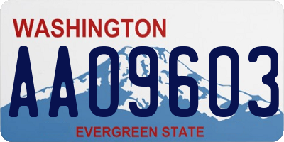 WA license plate AAO9603