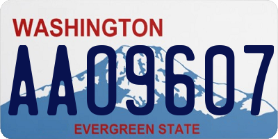 WA license plate AAO9607