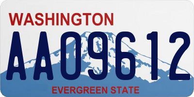 WA license plate AAO9612