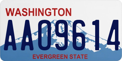 WA license plate AAO9614