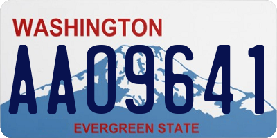 WA license plate AAO9641