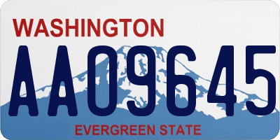 WA license plate AAO9645