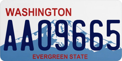 WA license plate AAO9665