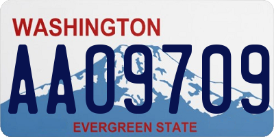 WA license plate AAO9709