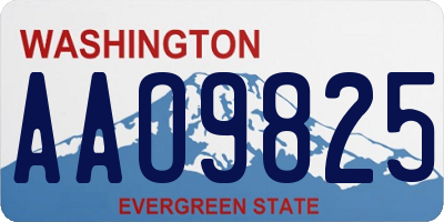 WA license plate AAO9825