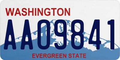 WA license plate AAO9841