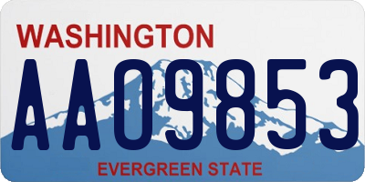 WA license plate AAO9853