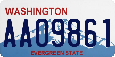 WA license plate AAO9861