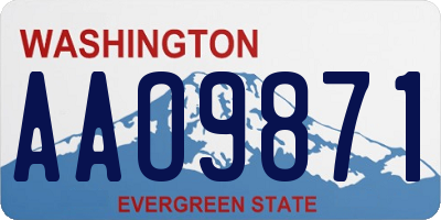 WA license plate AAO9871