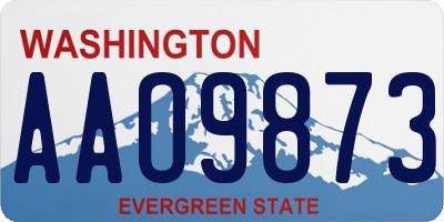 WA license plate AAO9873
