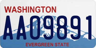 WA license plate AAO9891